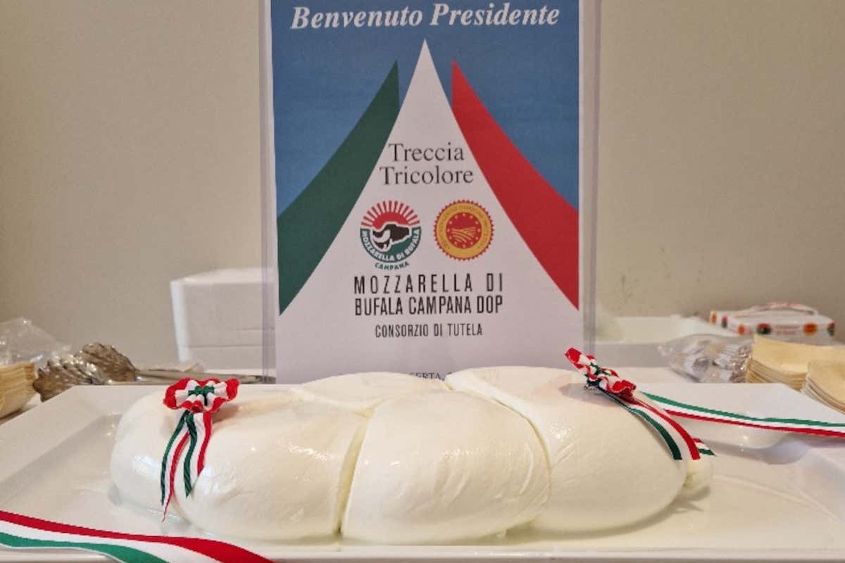 Mattarella alla Reggia di Caserta: in suo onore una maxi-treccia tricolore Mattarella alla Reggia di Caserta: in suo onore una maxi-treccia tricolore